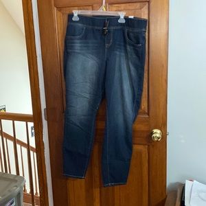 Torrid skinny Jean